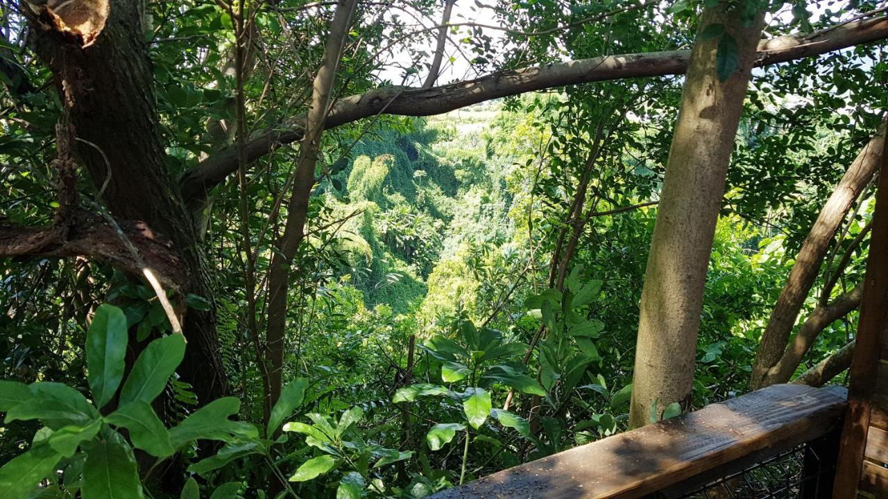 Le Lodge Origin Sainte-Suzanne Bagian luar foto